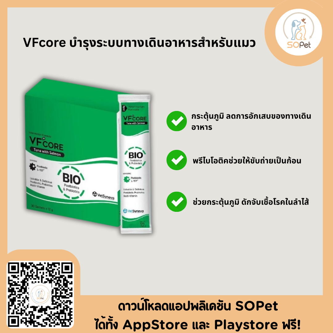 VFcore อาหารเสริมสำหรับแมว ขนมแมวเลีย ไลซีน, บำรุงเลือด, บำรุงข้อต่อ
