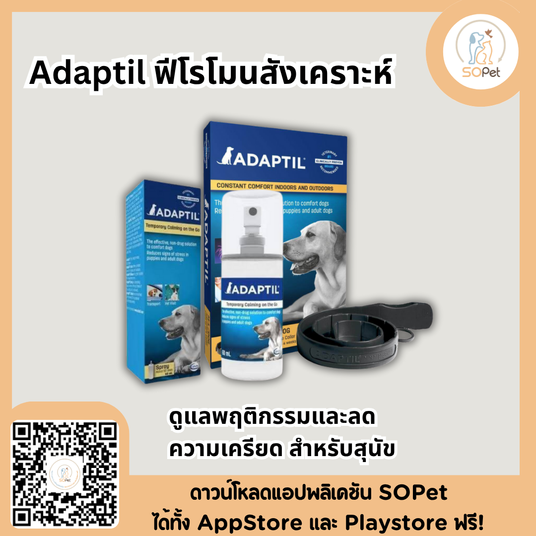 Adaptil ฟีโรโมนสังเคราะห์ ดูแลพฤติกรรมและลดความเครียด สำหรับสุนัข (Spray / Collar)