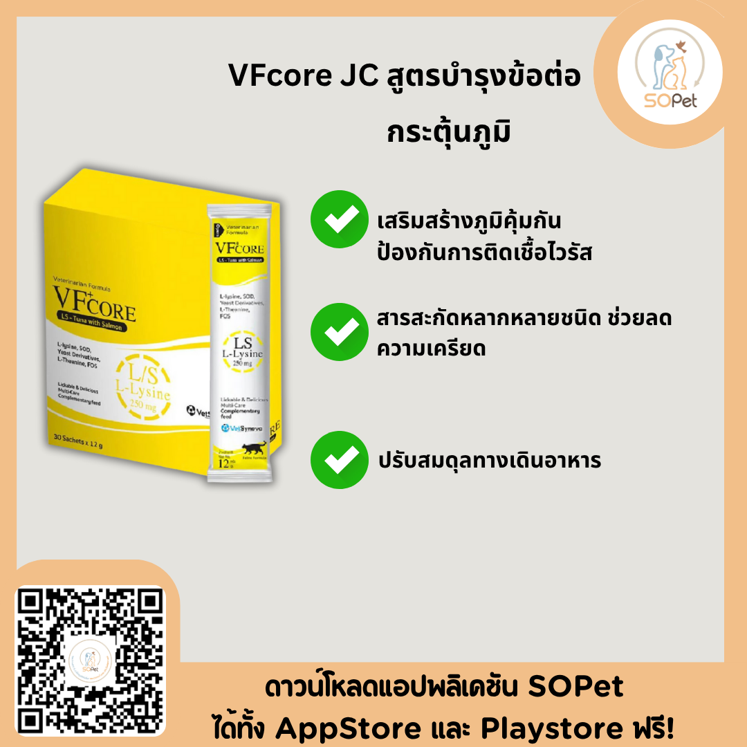 VFcore อาหารเสริมสำหรับแมว ขนมแมวเลีย ไลซีน, บำรุงเลือด, บำรุงข้อต่อ