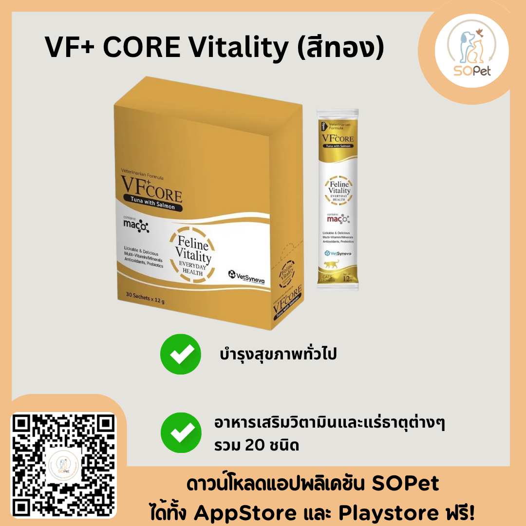 VFcore อาหารเสริมสำหรับแมว ขนมแมวเลีย ไลซีน, บำรุงเลือด, บำรุงข้อต่อ