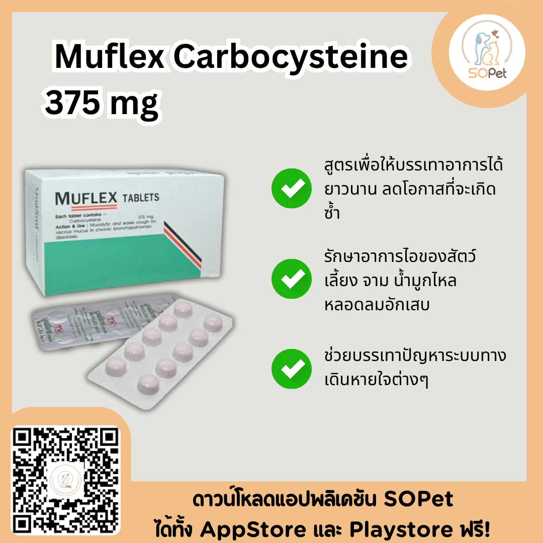 Muflex Carbocysteine 375 mg ผลิตภัณฑ์ชนิดเม็ด ช่วยดูแลอาการไอแบบมีเสมหะ สุนัขและแมว ขายยกแผง