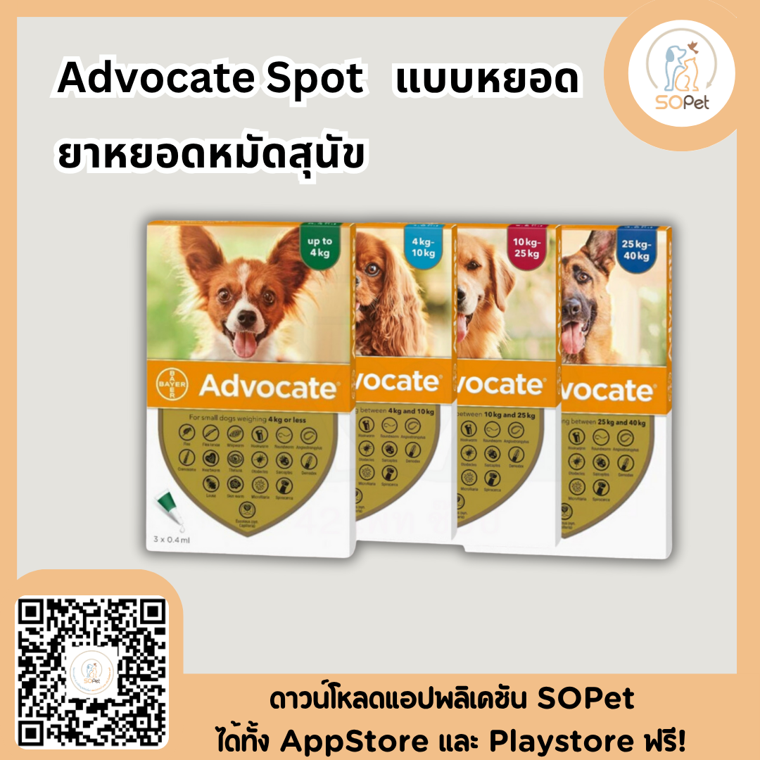 Advocate Spot on dog แอดโวเคท สุนัข ผลิตภัณฑ์รูปแบบหยดหลังคอ ป้องกันหมัด ไร พยาธิหนอนหัวใจ