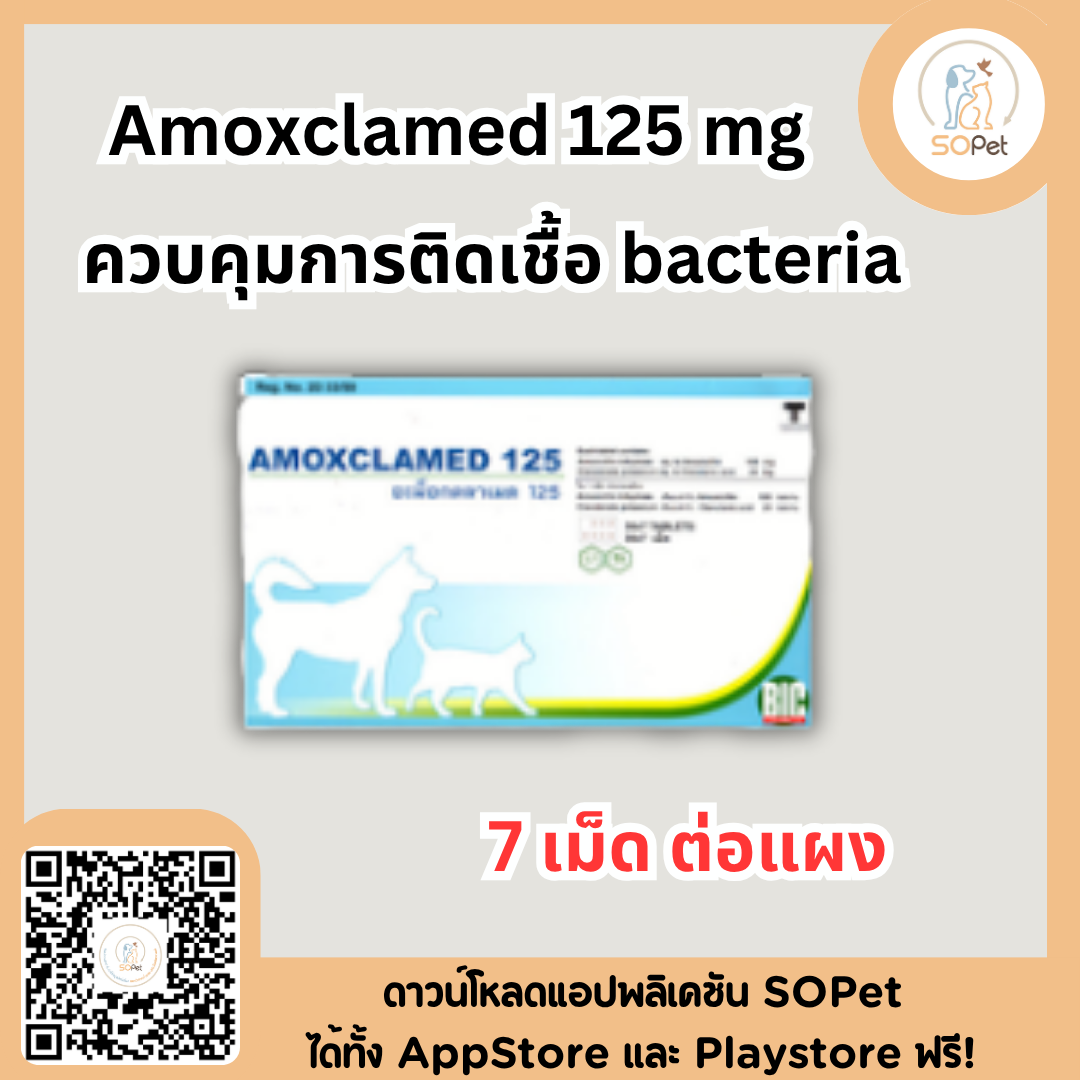 Amoxclamed ผลิตภัณฑ์ควบคุมการติดเชื้อ 125 mg (7เม็ดต่อแผง)