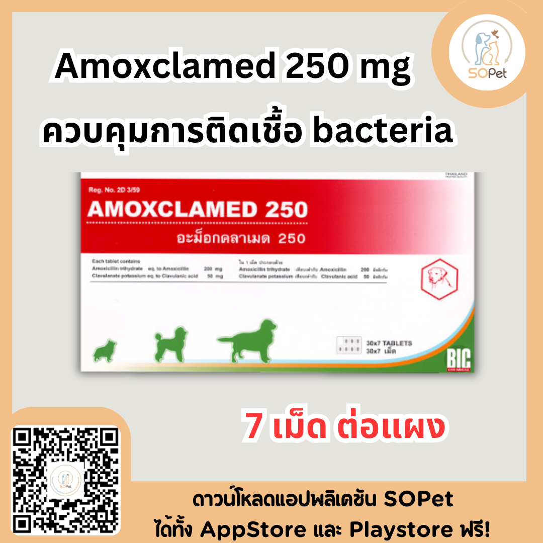 Amoxclamed 250 mg ควบคุมการติดเชื้อ (7เม็ดต่อแผง)
