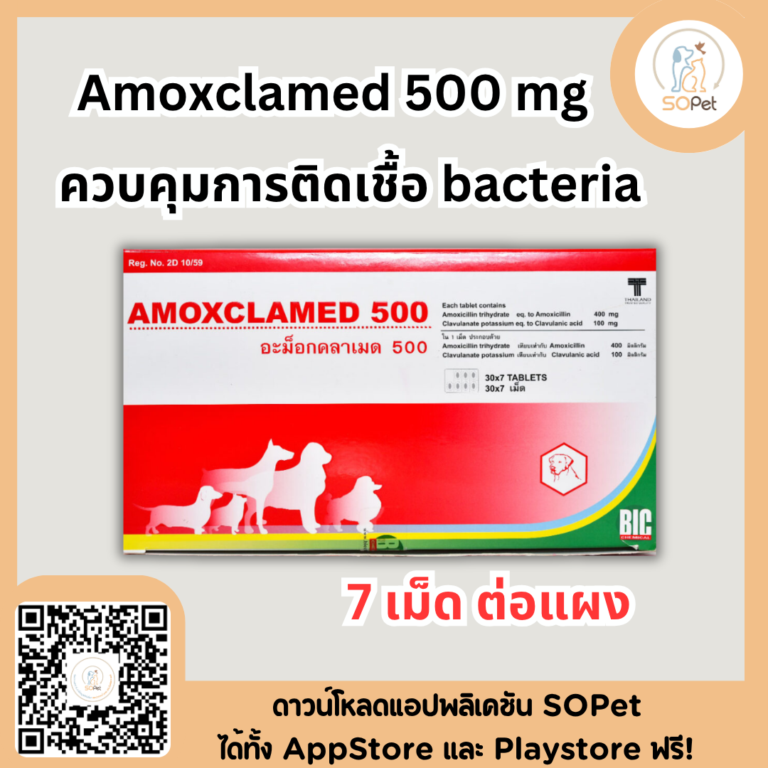 Amoxclamed ควบคุมการติดเชื้อ 500 mg (7เม็ดต่อแผง)
