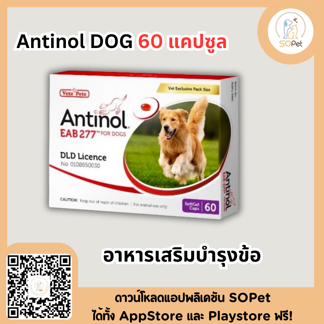 Antinol DOG 60 แคปซูล อาหารเสริมบำรุงข้อ ข้ออักเสบ 1 กล่องบรรจุ 60 เม็ด