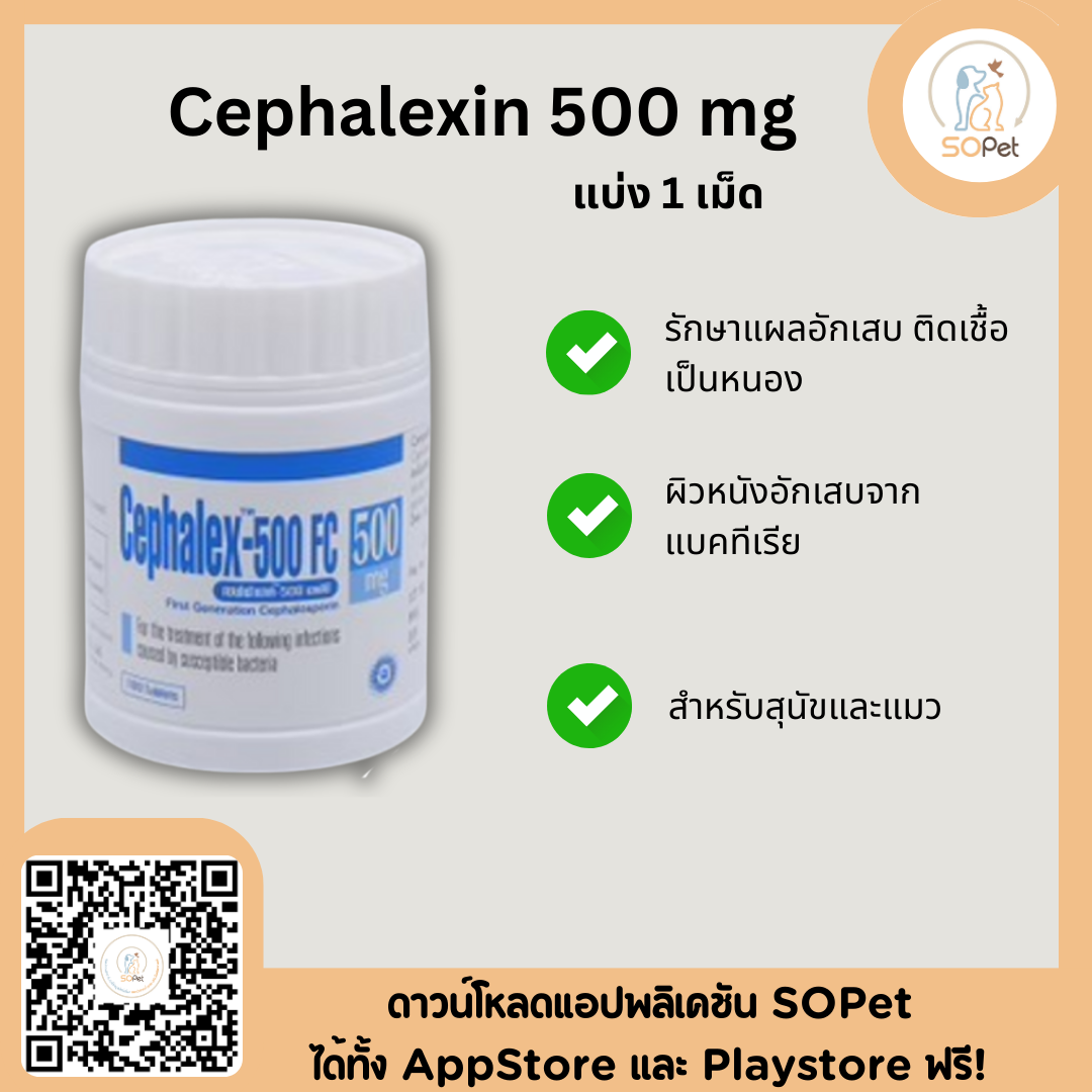 Cephalexin ผลิตภัณฑ์ดูแลแผลอักเสบ ติดเชื้อ เป็นหนอง ผิวหนังอักเสบจากแบคทีเรีย สำหรับสุนัขและแมว 500 mg แบ่ง 1 เม็ด