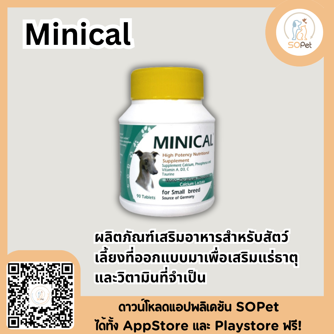 Minical อาหารเสริม (90 เม็ด) ผลิตภัณฑ์เสริมอาหารสำหรับสัตว์เลี้ยงที่ออกแบบมาเพื่อเสริมแร่ธาตุและวิตามินที่จำเป็น