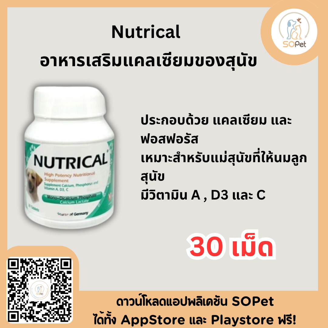 Nutrical อาหารเสริมพลังงานสูงที่อุดมไปด้วยวิตามินและแร่ธาตุที่จำเป็น ช่วยเพิ่มพลังงาน 30/60 เม็ด