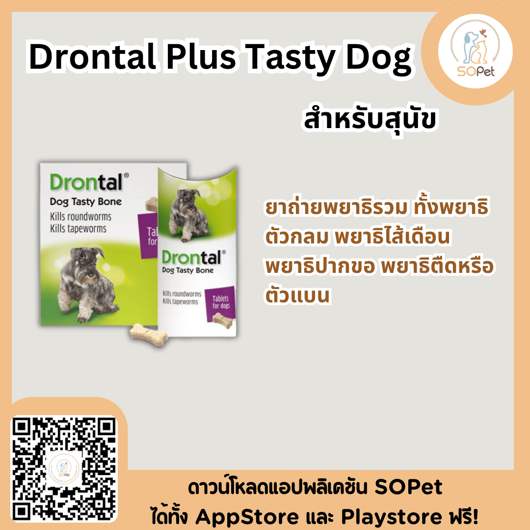 Drontal Plus Tasty Dog ผลิตภัณฑ์ชนิดเม็ด สำหรับการดูแลพยาธิในสุนัขแบบเคี้ยว