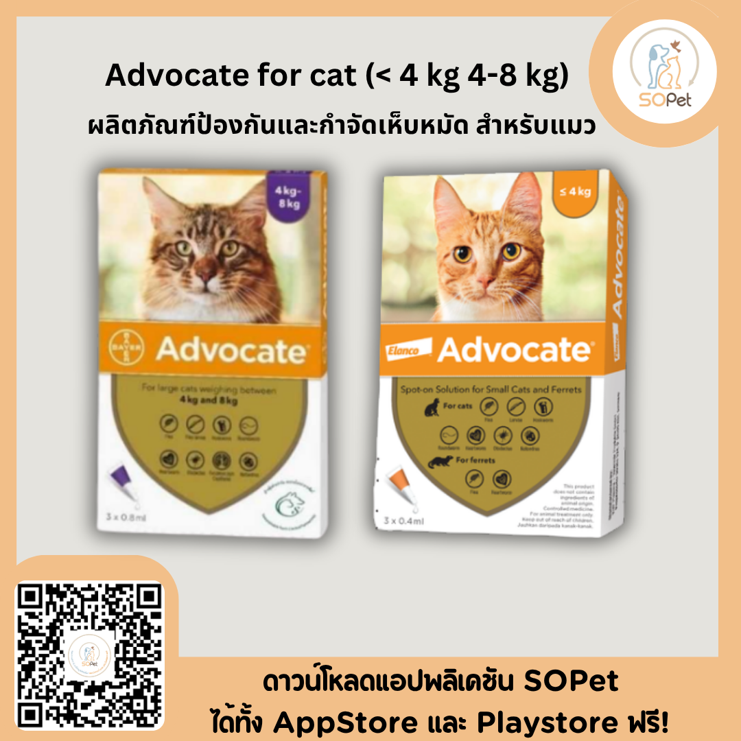 Advocate ผลิตภัณฑ์ป้องกันหมัดและพยาธิแบบครอบคลุมสำหรับสัตว์เลี้ยง