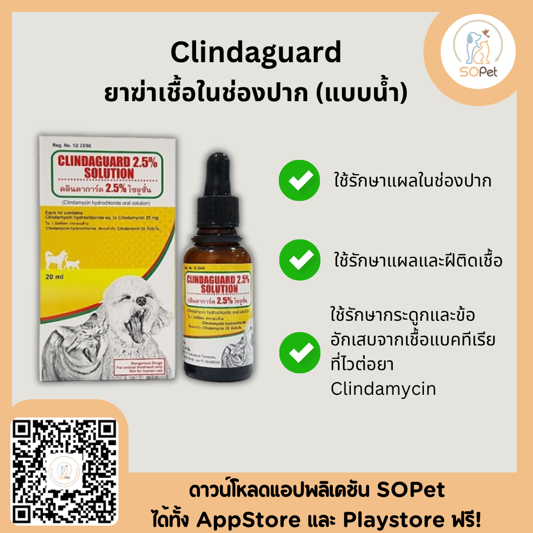 Clindaguard 2.5% solution (20ml) เหมือน Antirobe Aquadrops  ผลิตภัณฑ์ดูแลแผลในช่องปาก สุนัขและแมว