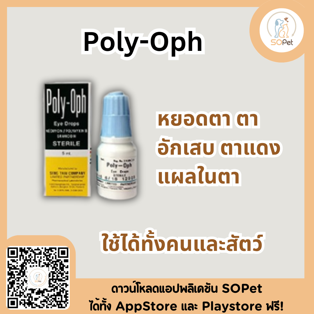 Poly oph 5ml และ 10 ml โพลี่-อ๊อฟ สำหรับหยอดตา ตาอักเสบ ตาแดง แผลในตา