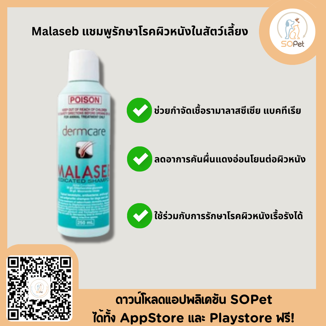 Malaseb แชมพูบำรุงโรคผิวหนังในสัตว์เลี้ยง ช่วยปกป้องเชื้อรามาลาสซีเซีย แบคทีเรีย และลดอาการคัน ผื่นแดง ขนาด 250ml.
