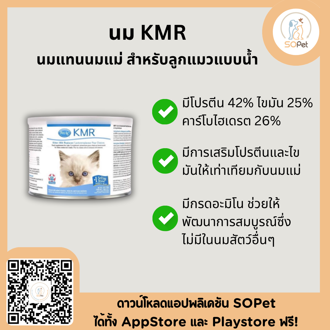นม KMR แบบน้ำนมแทนนมแม่ สำหรับลูกแมวแบบน้ำ