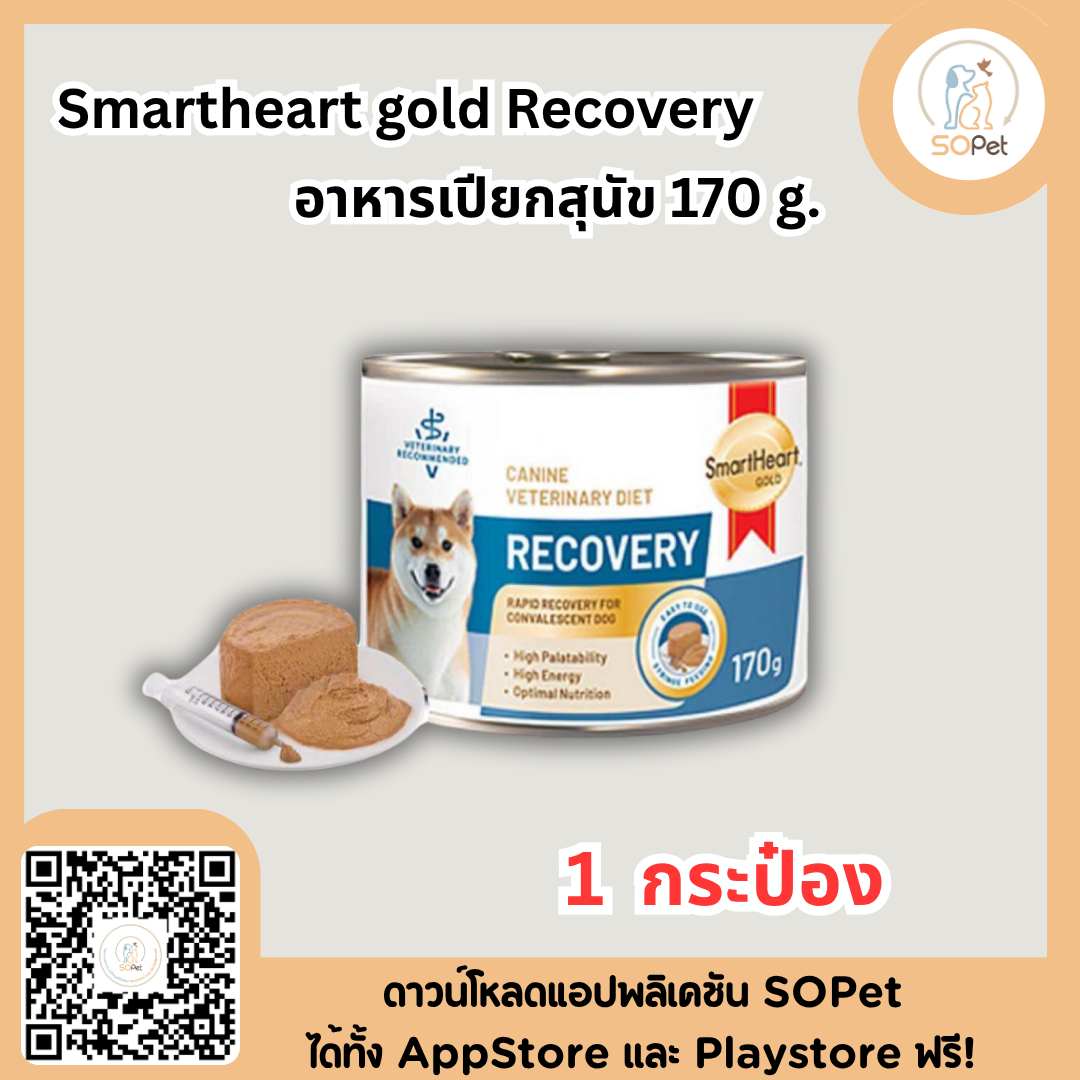 Smartheart gold Recovery อาหารเปียกสุนัข 170ก แมว80ก สำหรับสัตว์ป่วย พักพื้น ผ่าตัด 12กระป๋อง