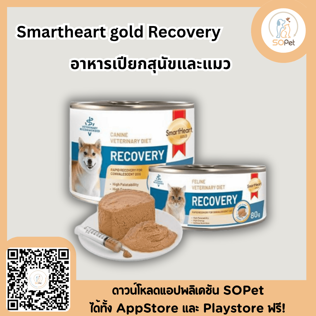 Smartheart gold Recovery อาหารเปียกสุนัข 170ก แมว80ก สำหรับสัตว์ป่วย พักพื้น ผ่าตัด แมว80กรัม