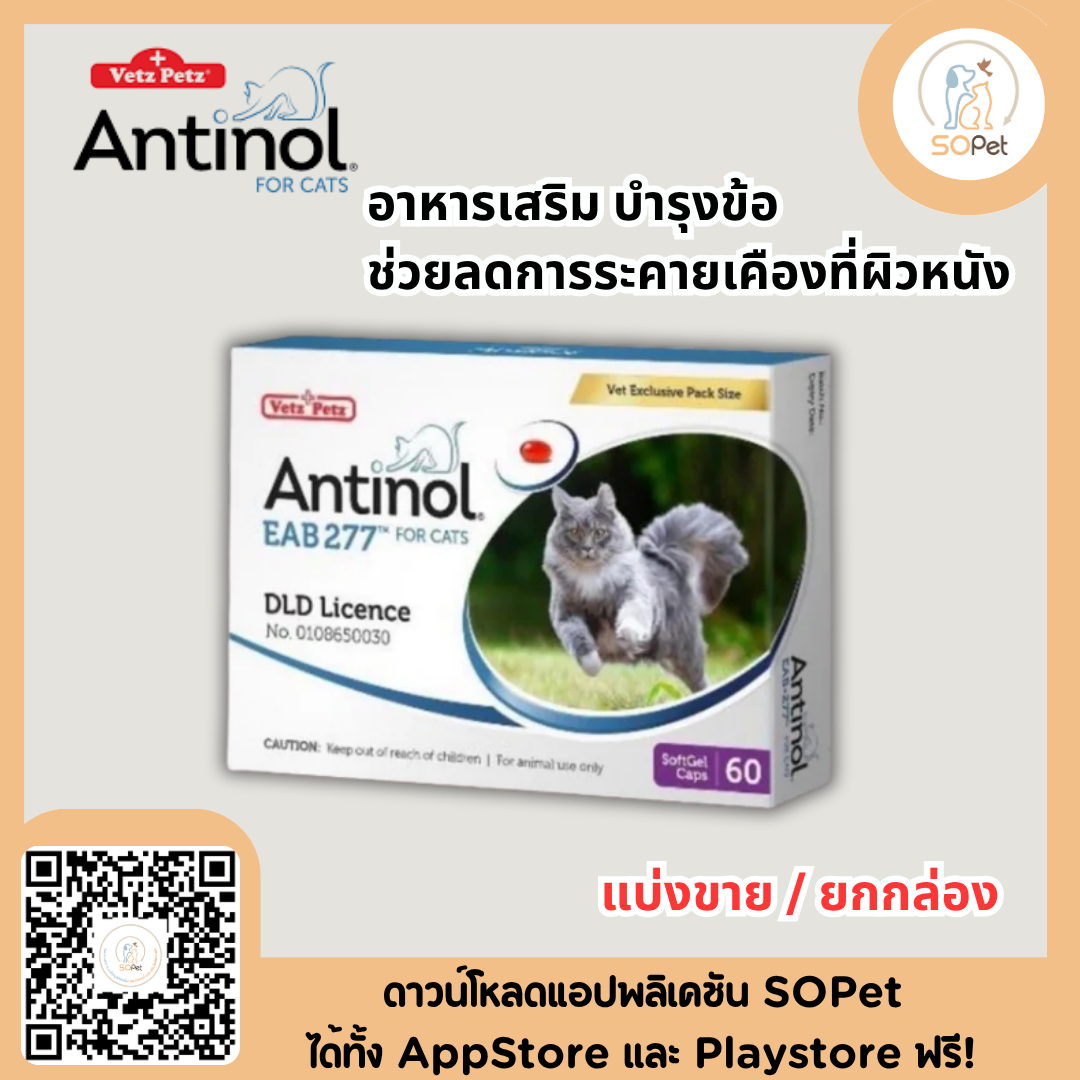 Antinol Cat แอนทินอล อาหารเสริม บำรุงข้อ ช่วยลดการระคายเคืองที่ผิวหนัง