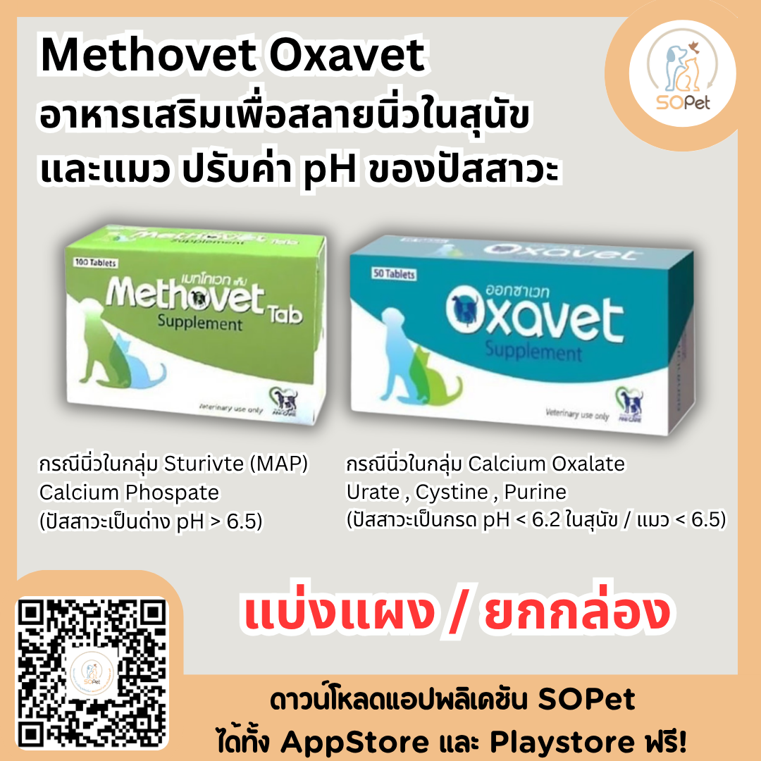 Methovet & Oxavet อาหารเสริมเพื่อสลายนิ่วในสุนัขและแมว ปรับค่า pH ของปัสสาวะ แบ่งแผง