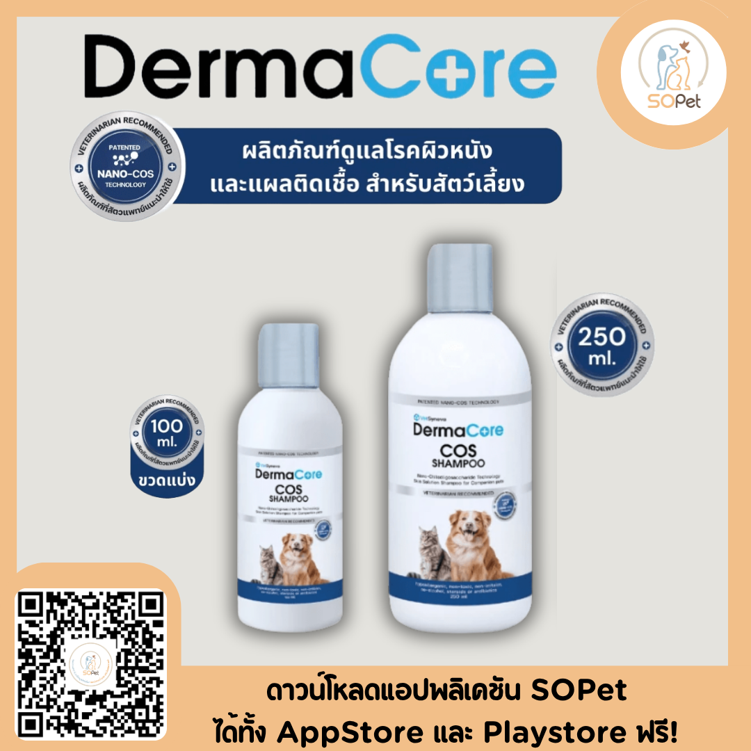 DermaCore COS Shampoo 100 ml 250 ml แชมพูสำหรับโรคผิวหนังที่มี เชื้อรา แบคทีเรีย ยีสต์ สุนัขและแมว