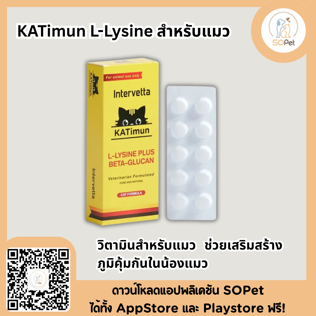 KATimun L-Lysine Plus Beta-glucan Intervetta อาหารเสริม วิตามินเสริมภูมิคุ้มกัน สำหรับแมว cat
