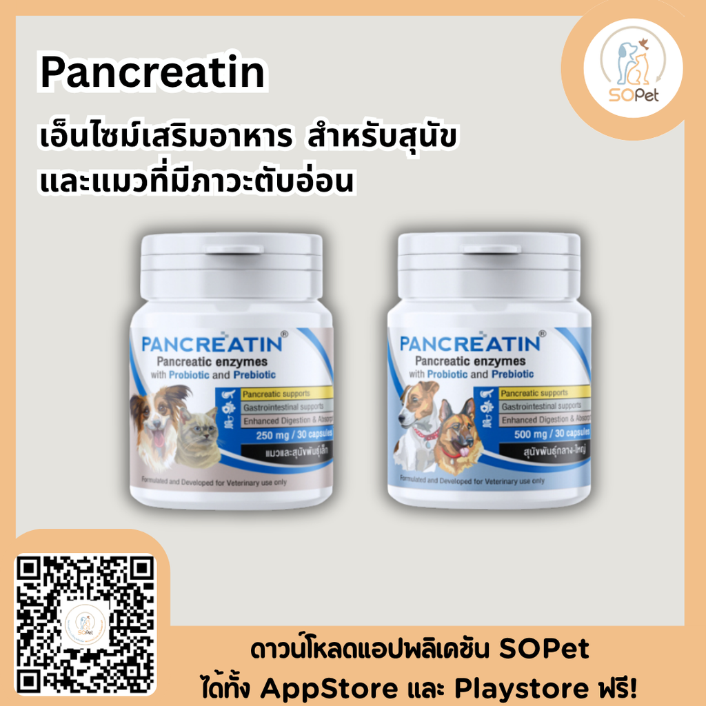 Pancreatin ผลิตภัณฑ์เอ็นไซม์เสริมอาหาร สำหรับสุนัขและแมวที่มีภาวะตับอ่อนอักเสบ (แพนครีเอทิน) 30 แคปซูล (LYPEX)