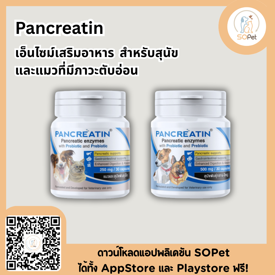 Pancreatin ผลิตภัณฑ์เอ็นไซม์เสริมอาหาร สำหรับสุนัขและแมวที่มีภาวะตับอ่อนอักเสบ (แพนครีเอทิน) 30 แคปซูล (LYPEX)
