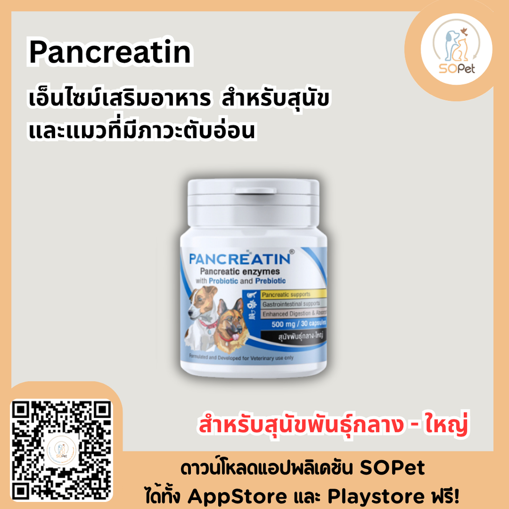 Pancreatin ผลิตภัณฑ์เอ็นไซม์เสริมอาหาร สำหรับสุนัขและแมวที่มีภาวะตับอ่อนอักเสบ (แพนครีเอทิน) 30 แคปซูล (LYPEX)