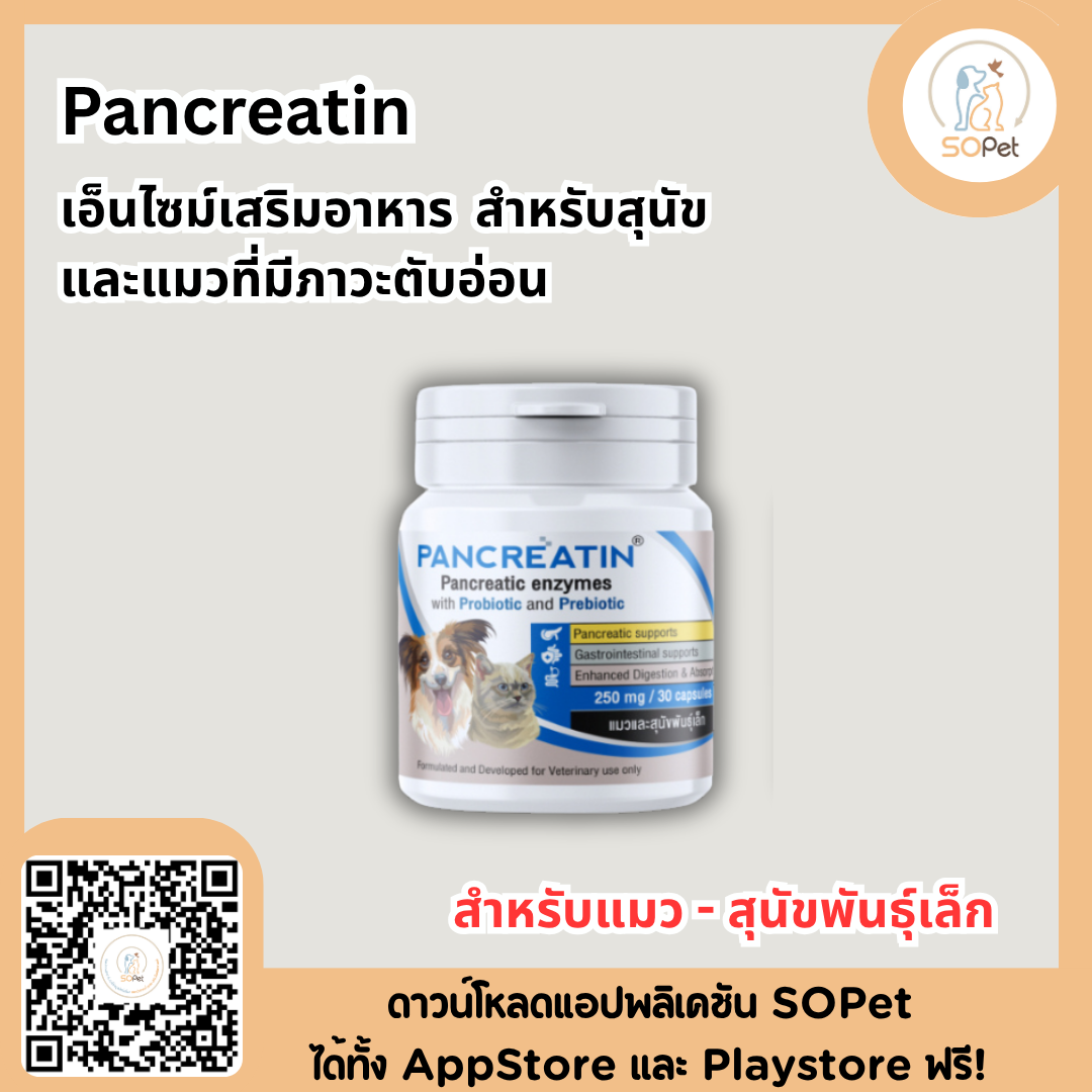 Pancreatin ผลิตภัณฑ์เอ็นไซม์เสริมอาหาร สำหรับสุนัขและแมวที่มีภาวะตับอ่อนอักเสบ (แพนครีเอทิน) 30 แคปซูล (LYPEX)