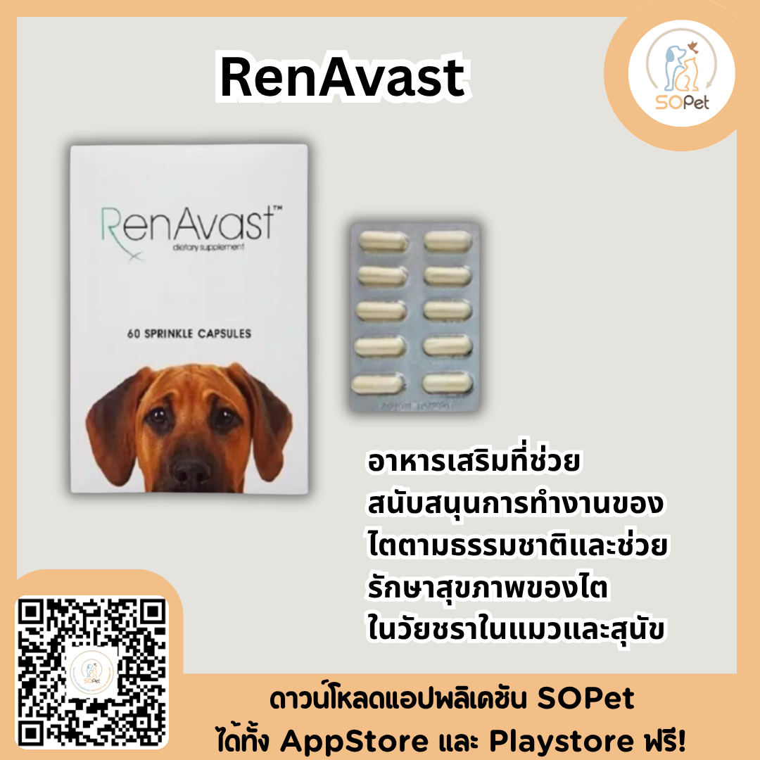 RenAvast  อาหารเสริมบำรุงโรคไต สำหรับสุนัข