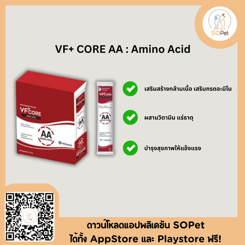 VFcore AA อาหารเสริมสำหรับแมว ขนมแมวเลีย ไลซีน เสริมสร้างกล้ามเนื้อ AA (1ซอง)