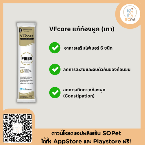 VFcore FIBER อาหารเสริมสำหรับแมว ขนมแมวเลีย ไลซีน แก้ท้องผูก
