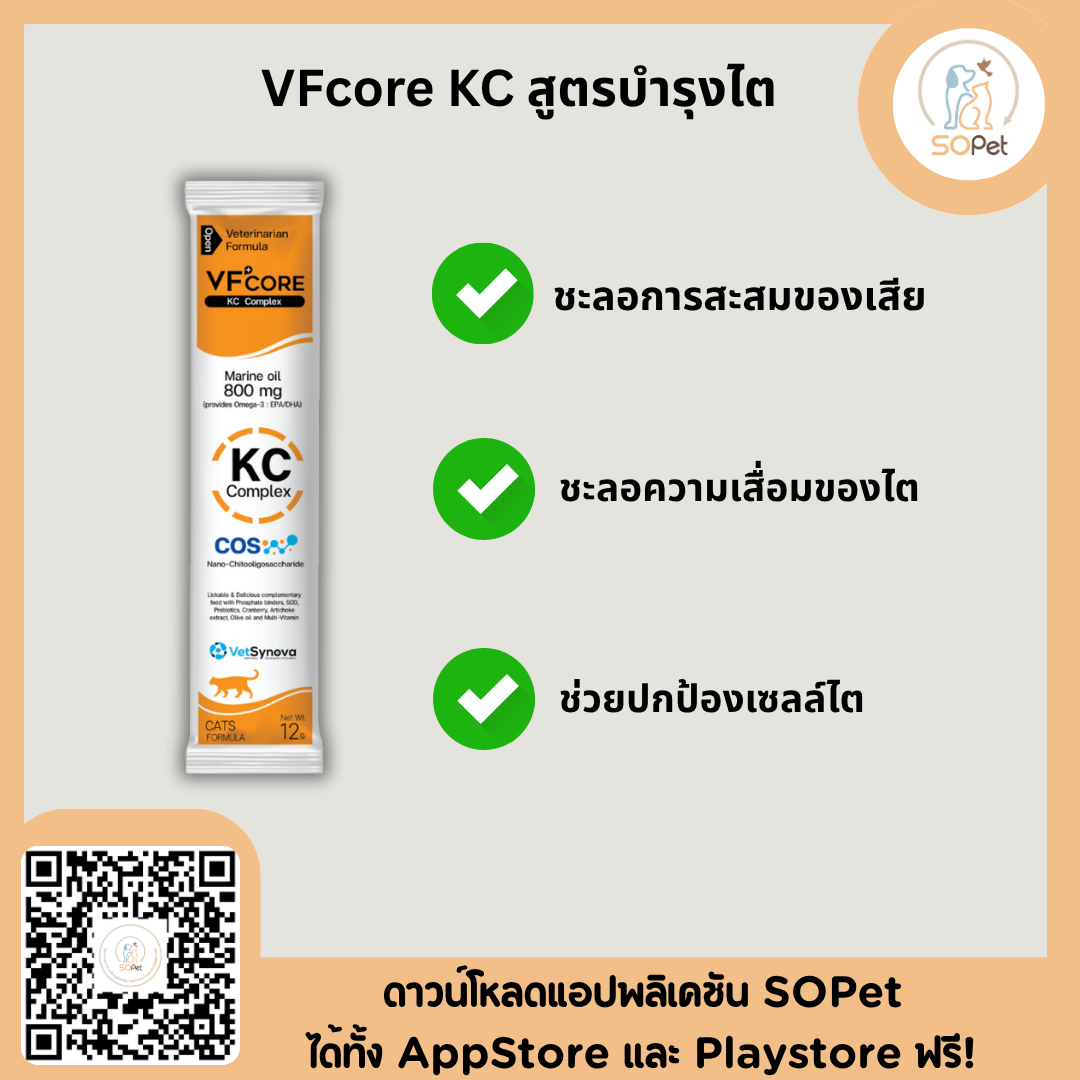 VFcore KC Kidney care อาหารเสริมสูตร KC ในรูปแบบขนม สำหรับแมวป่วยโรคไต