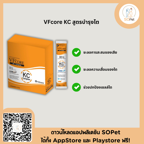 VFcore  KC Complex อาหารเสริมสำหรับแมว ขนมแมวเลีย ไลซีน บำรุงไต