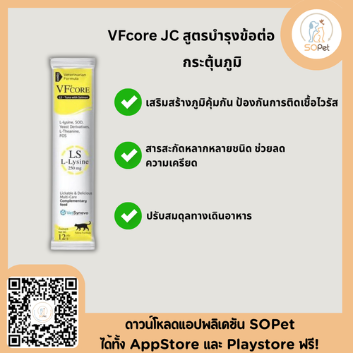VFcore L-Lysine อาหารเสริมสำหรับแมว ขนมแมวเลีย ไลซีน กระตุ้นภูมิ