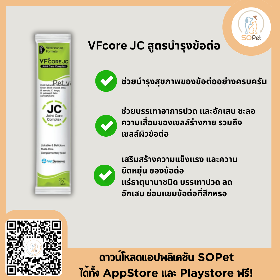 VFcore JC Joint Care Complex อาหารเสริมสำหรับแมว ขนมแมวเลีย ไลซีน บำรุงข้อต่อ