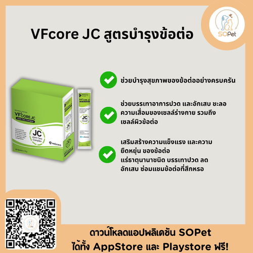VFcore JC Joint Care Complex อาหารเสริมสำหรับแมว ขนมแมวเลีย ไลซีน บำรุงข้อต่อ