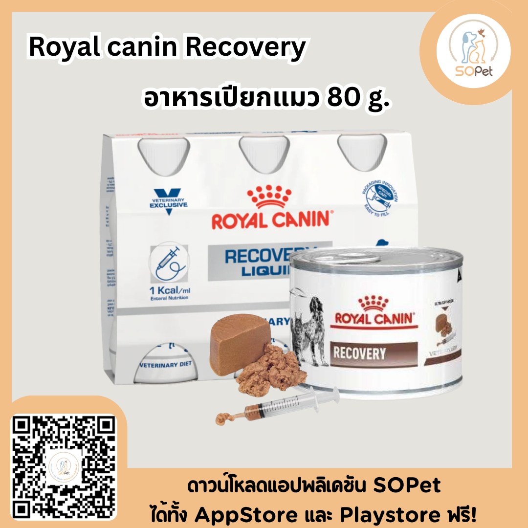 Royal canin Recovery 12กระป๋อง อาหารสัตว์ป่วย สำหรับหมาและแมว