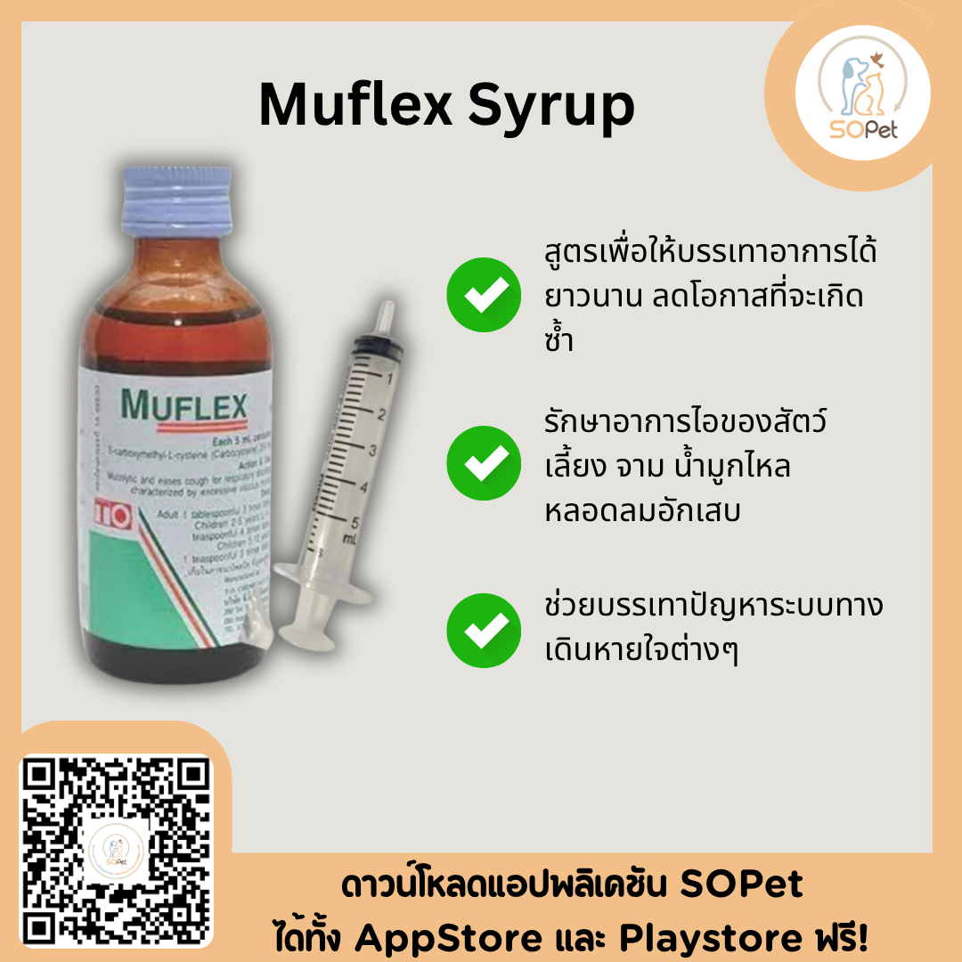 Muflex Carbocysteine 375 mg เม็ด ลดอาการไอแบบมีเสมหะ สุนัขและแมว ขายยกแผง