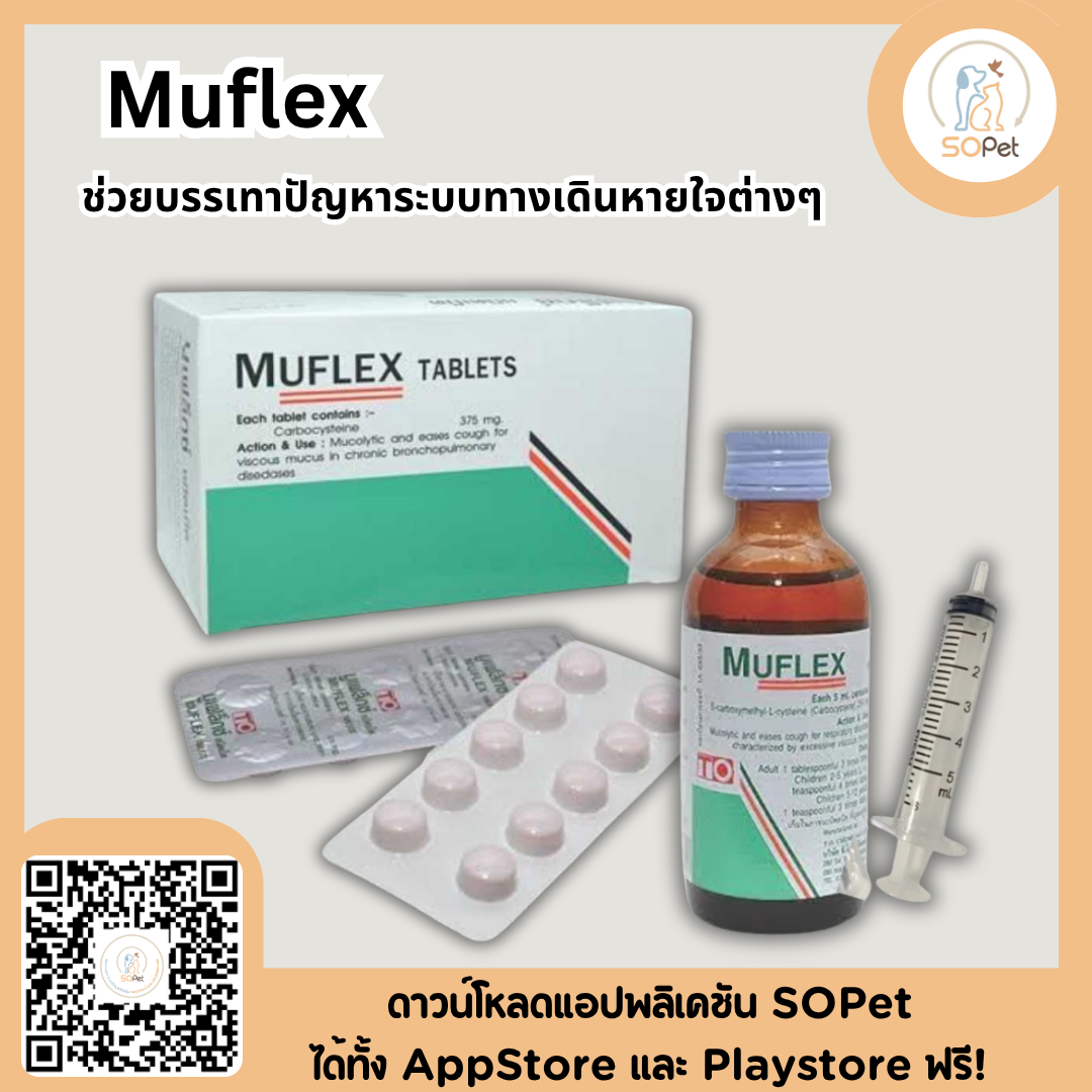 Muflex Carbocysteine 375 mg เม็ด ลดอาการไอแบบมีเสมหะ สุนัขและแมว ขายยกแผง