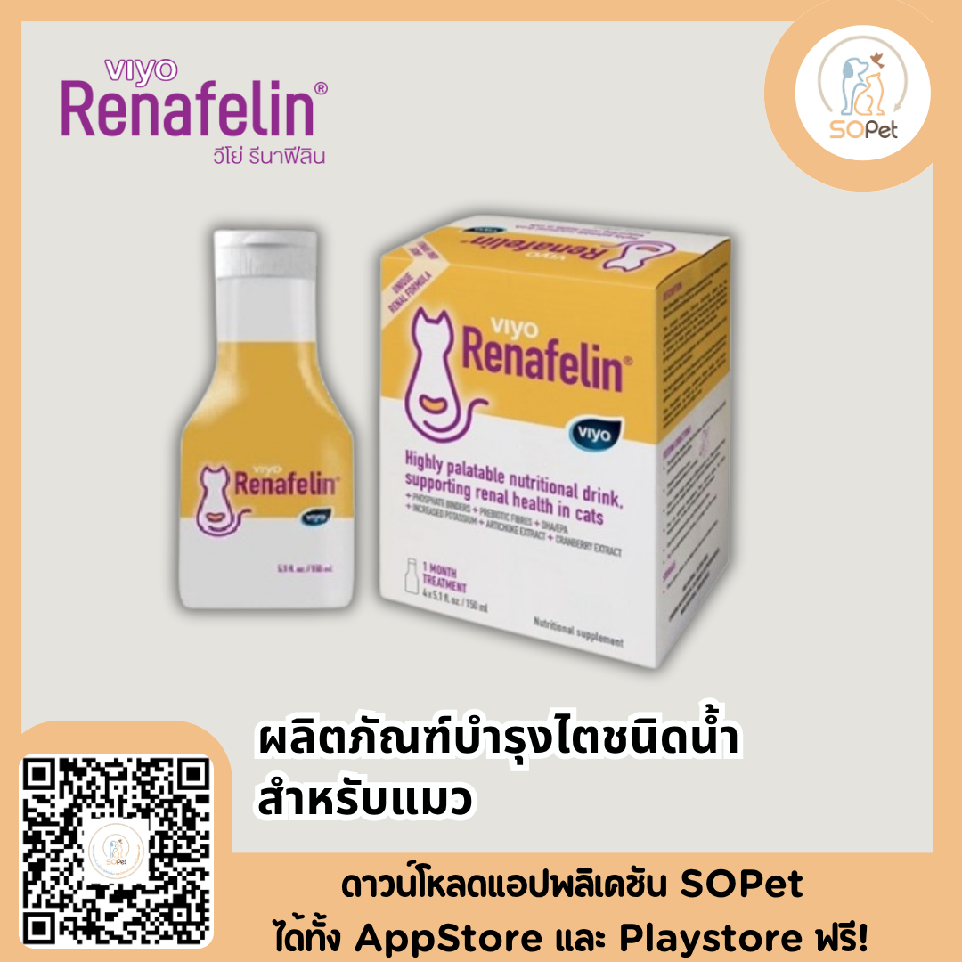 Viyo Renafelin ผลิตภัณฑ์บำรุงไตชนิดน้ำ สำหรับแมว ความน่ากินสูง ขนาด 150 ml