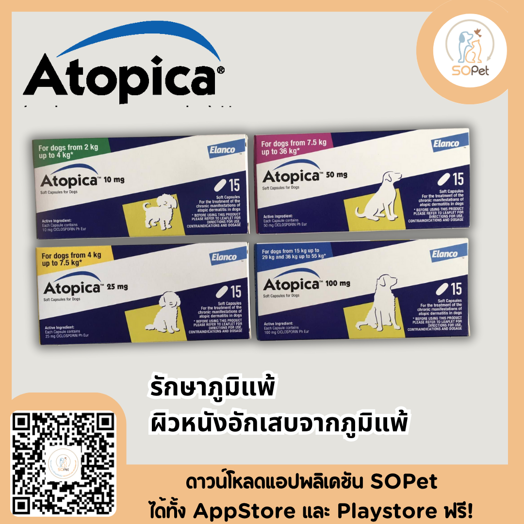 Atopica ดูแลอาการภูมิแพ้ มี4 ขนาด10mg, 25mg, 50mg, 100mg (ยกกล่อง)