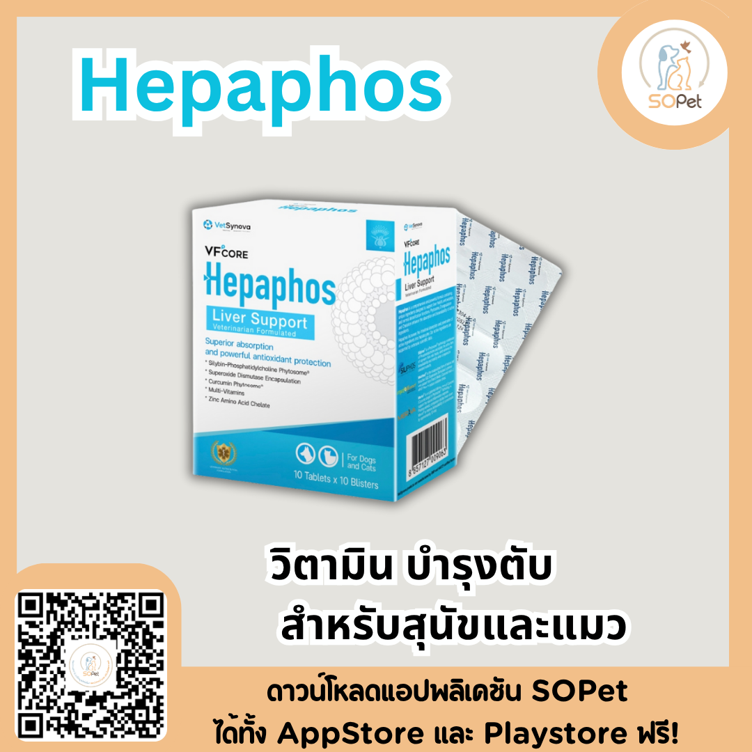 Hepaphos วิตามิน บำรุงตับ สำหรับสุนัขและแมว แผงละ10เม็ด รสตับ