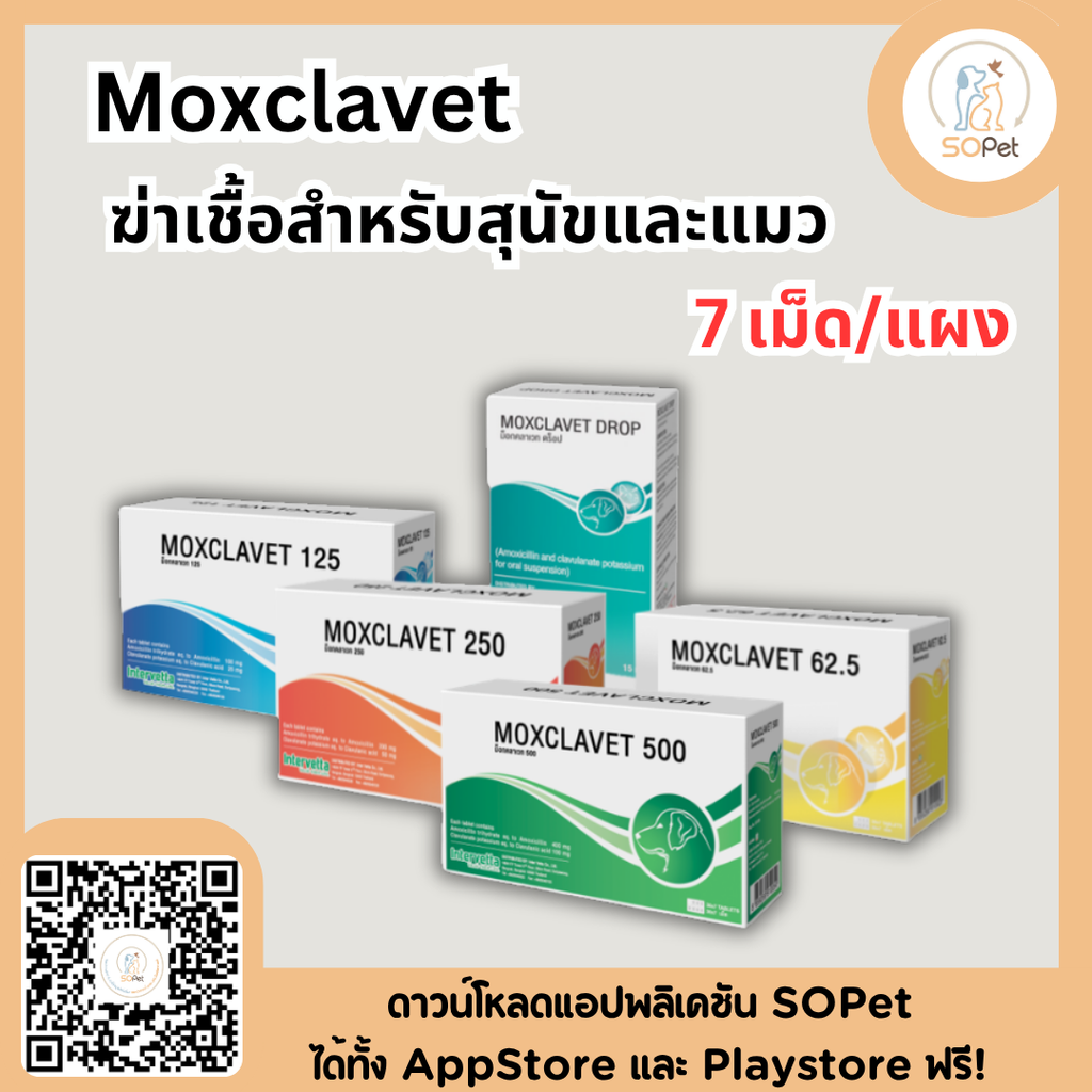 Moxclavet ผลิตภัณฑ์สำหรับสุนัขและแมว ขาย 7 เม็ด/แผง