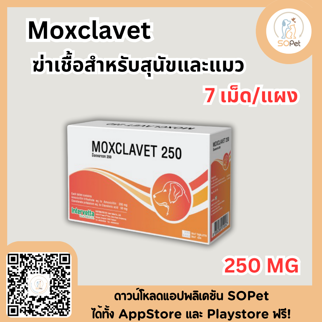 Moxclavet ผลิตภัณฑ์สำหรับสุนัขและแมว ขาย 7 เม็ด/แผง