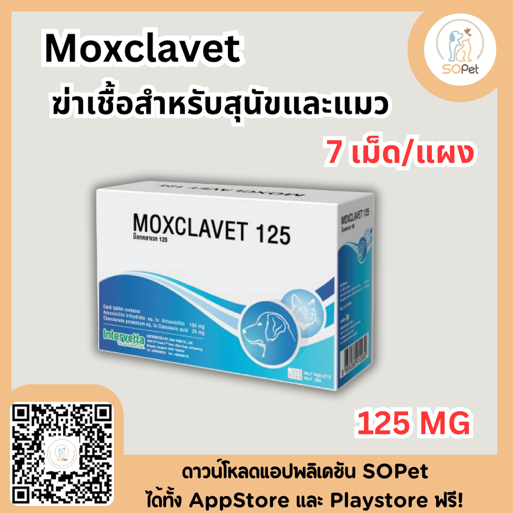 Moxclavet ผลิตภัณฑ์สำหรับสุนัขและแมว ขาย 7 เม็ด/แผง