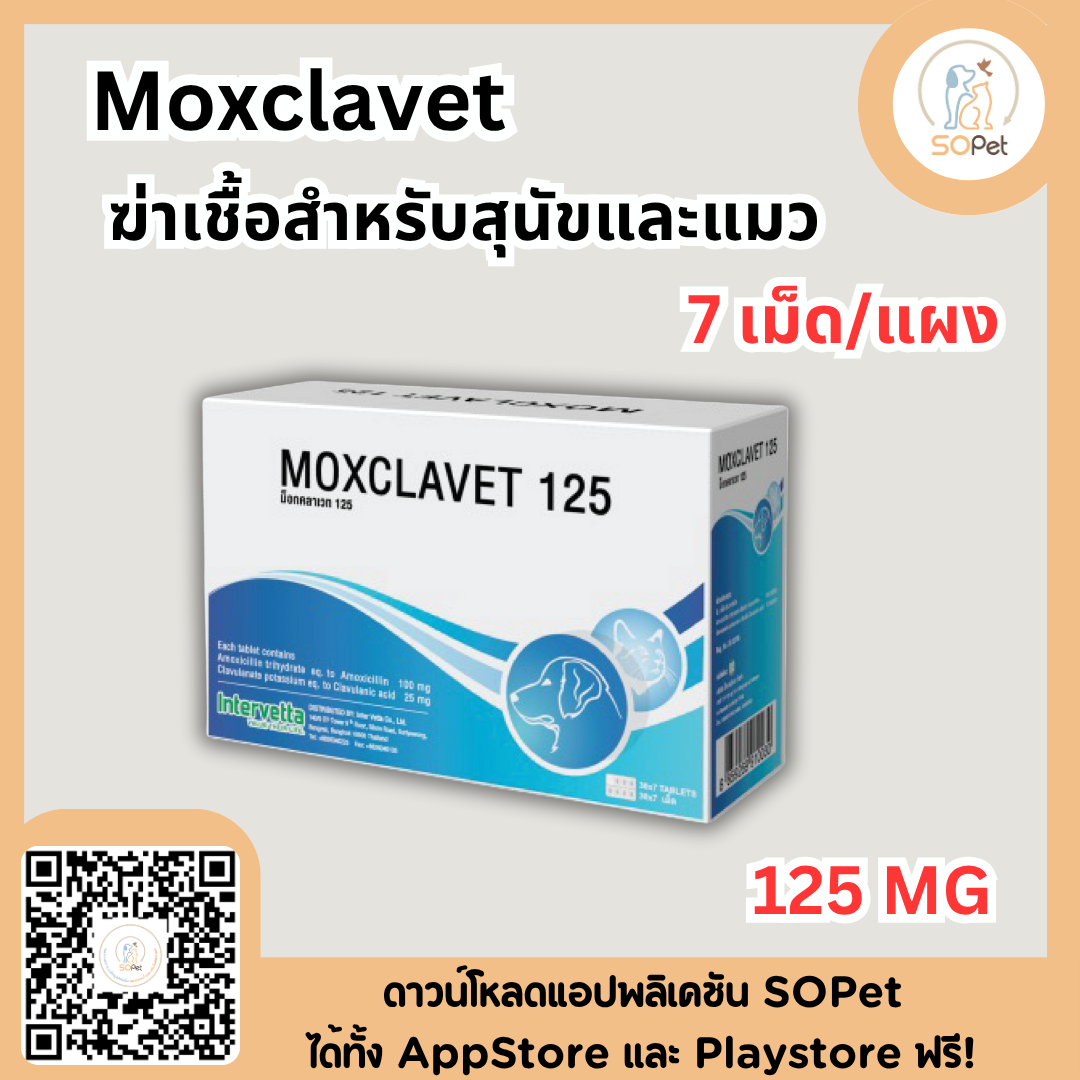 Moxclavet ผลิตภัณฑ์สำหรับสุนัขและแมว ขาย 7 เม็ด/แผง