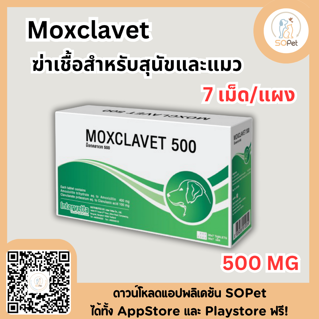 Moxclavet ผลิตภัณฑ์สำหรับสุนัขและแมว ขาย 7 เม็ด/แผง