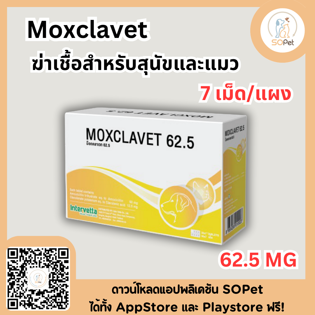 Moxclavet ผลิตภัณฑ์สำหรับสุนัขและแมว ขาย 7 เม็ด/แผง
