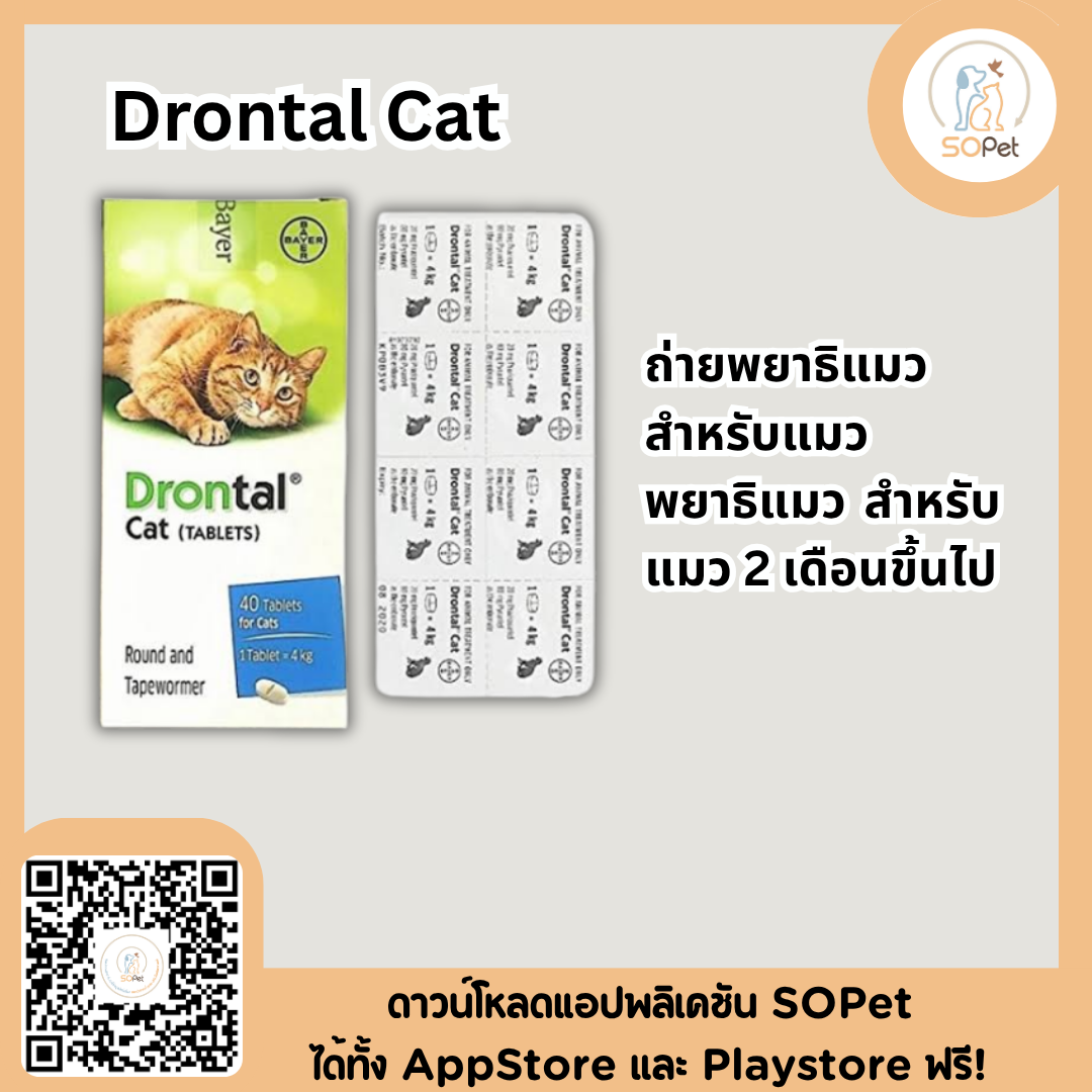 Drontal Cat ถ่ายพยาธิแมว พยาธิแมว สำหรับแมว 2 เดือนขึ้นไป แบ่งขาย (จำนวน 1 เม็ด)